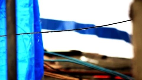 There's a fly on a live electric cable struggling to get away through rain water Stock Footage 91648153