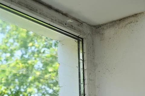There's mold in the corner of the window. Stock Photos
