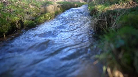 There's a stream running through the park. High quality 4k footage Stock Footage 266832709