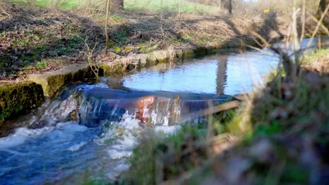 There's a stream running through the park. High quality 4k footage Stock Footage 266832830