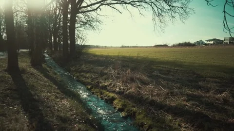 There's a stream running through the park. High quality 4k footage 库存影片 266832952