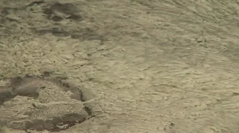 Thermal algae of the river Stock Footage 8760418