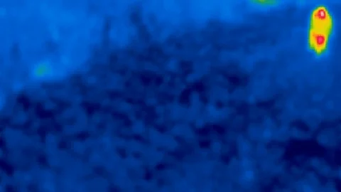 Thermal camera view,  two walking human from above, in a meadow Stock Footage 98861738