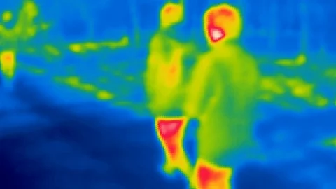 Thermal camera view,  walking human in a woods Stock Footage 98861179