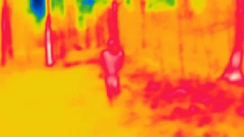 Thermal camera view,  walking human in a woods Stock Footage 98867965