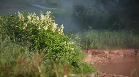 Thermal Video stock 587179