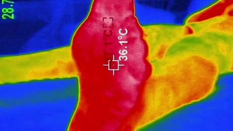 Thermal Imaging View of Human Feet and Wiggling Toes Video stock 314679265