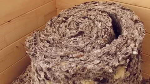 Thermal insulation sheep wool layer used in house construction  Stock Footage 85262885