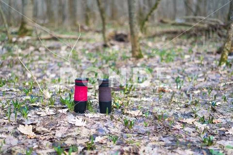 Thermal mugs in the forest on the ground. the conservation of heat of coffee Stock Photos