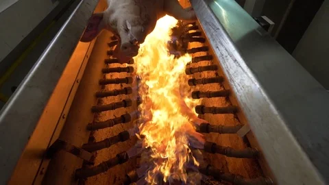 Thermal processing of pork meat with open fire Stock Footage 77711469