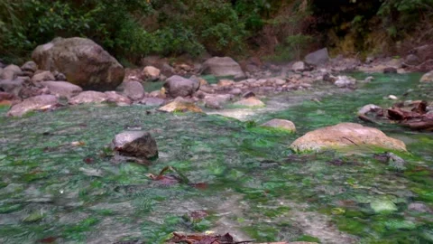 Thermal spring in the forest. Warm, gray-rich water flowing in a green stream Stock Footage 150858803