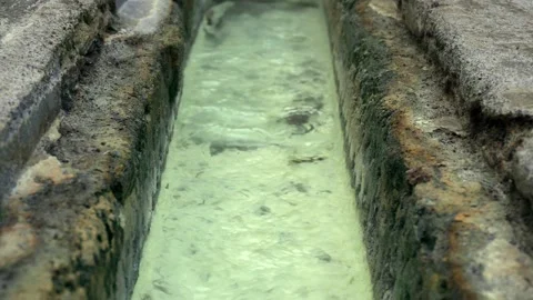 Thermal spring in the forest. Warm, gray-rich water flowing in a green stream Vídeo Stock 150858925