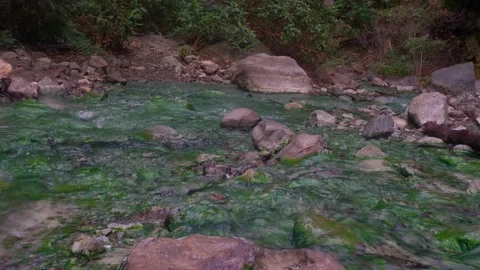 Thermal spring in the forest. Warm, gray-rich water flowing in a green stream Vídeo Stock 154031734