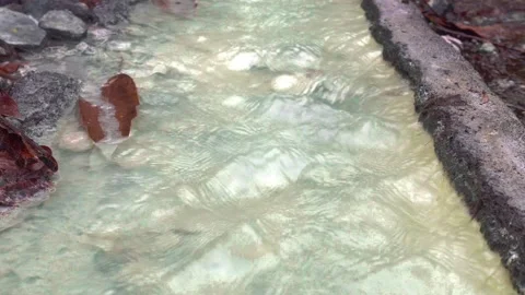 Thermal spring in the forest. Warm, gray-rich water flowing in a green stream Vídeo Stock 154152204