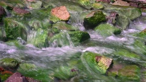 Thermal spring in the forest. Warm, gray-rich water flowing in a green stream Vídeo Stock 154152468