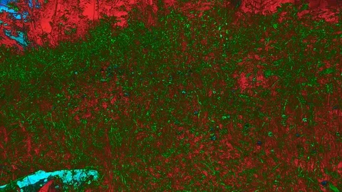 Thermal Vision of Element of Ancient Human Petrified Giant Presentation Stock Footage 127502011