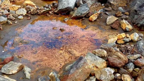 Thermal water forms such warm puddles near the sea. Italy. Stock Footage 310442397