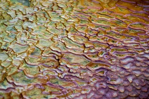 Thermal water Foto stock