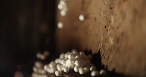 Thermocol balls stuck in spider web Stock Footage 324035279