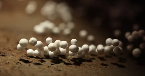 Thermocol balls stuck in spider web Stock Footage 324035283