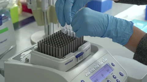 Thermocycler laboratory Stock Footage 191465220