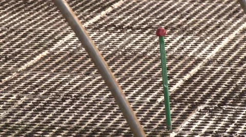 Thermometer in bedding plant seedlings Stock Footage 47880051