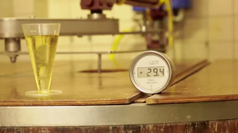 Thermometer to check the temperature of the whey Stock Footage 36196480