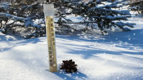 The thermometer in the forest on a cold winter day Stock Footage 102603076