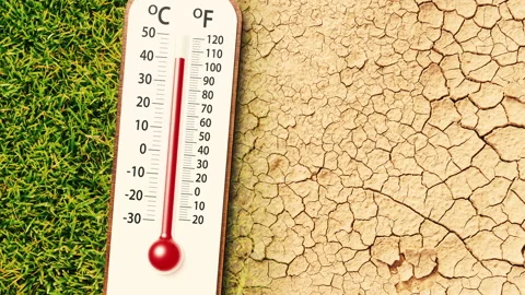 Thermometer on grass with change to arid dry soil ground cracks Stock Footage 155348405