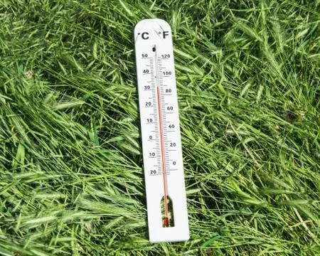 Thermometer on green grass Stock Photos