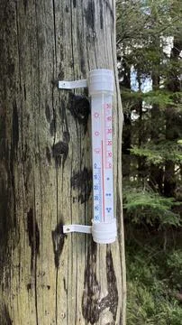 A thermometer is installed on a tree trunk in the mountains showing the air.. Stock Photos