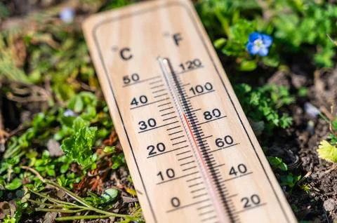 Thermometer lying in the grass. Stock Photos