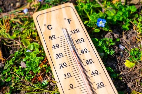 Thermometer lying in the grass. Stock Photos