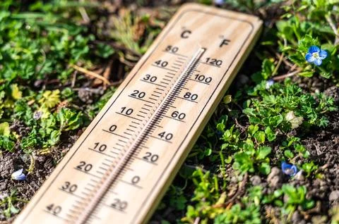 Thermometer lying in the grass. Stock Photos