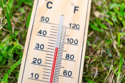 Thermometer lying in the grass. Stock Photos