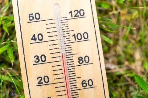 Thermometer lying in the grass. Stock Photos