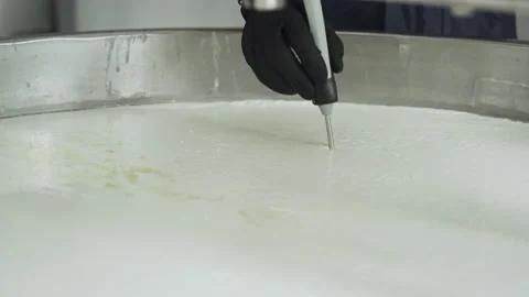 Thermometer for measuring the temperature of the mixture for making cheese. Vídeo Stock 177591663