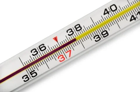 Thermometer Stock Photos