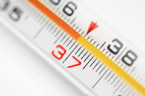 Thermometer Stock Photos