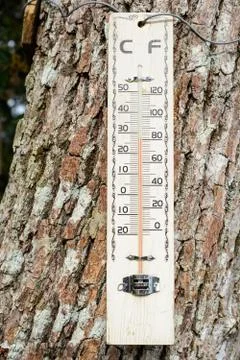 Thermometer Stock Photos