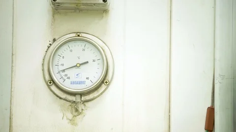 Thermometer In The Refrigerator 動画素材 123018593