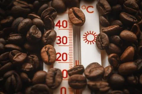 Thermometer Resting in Roasted Coffee Beans Stock Photos
