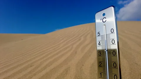 A Thermometer Is Stuck In The Hot Sand of a Dune. Vídeo Stock 264803417