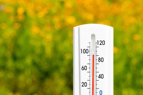 Thermometer sunny flowers Stock Photos
