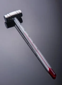 Thermometer for wine on a  black background Foto stock