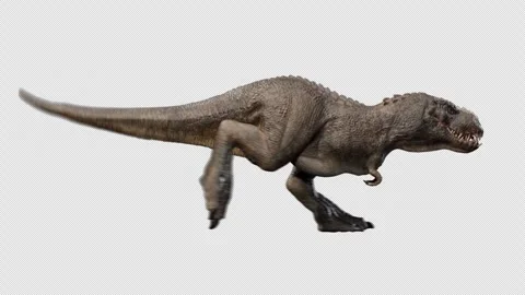 Theropod Rex Walking Loop – Right Side View, Alpha Channel, 3D Dinosaur Animatio Stock Footage 283855306