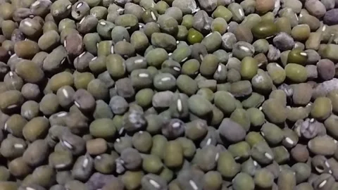 These are raw green bean grains Stock Footage 229985749
