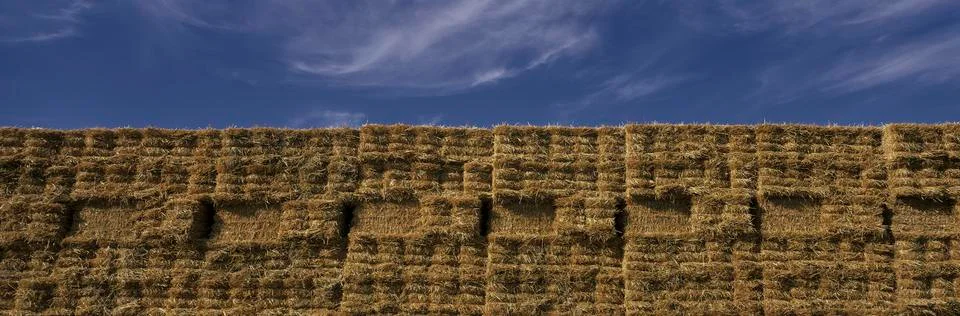 These are rectangular hay stacks piled up against a blue sky. Stock Photos