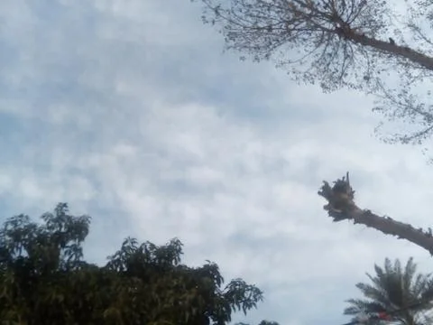 These are white clouds on the sky Foto stock
