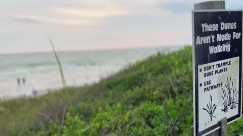 These Dunes Aren't Made For Walking Gulf Coast Ocean Sign Stock Footage 244756386